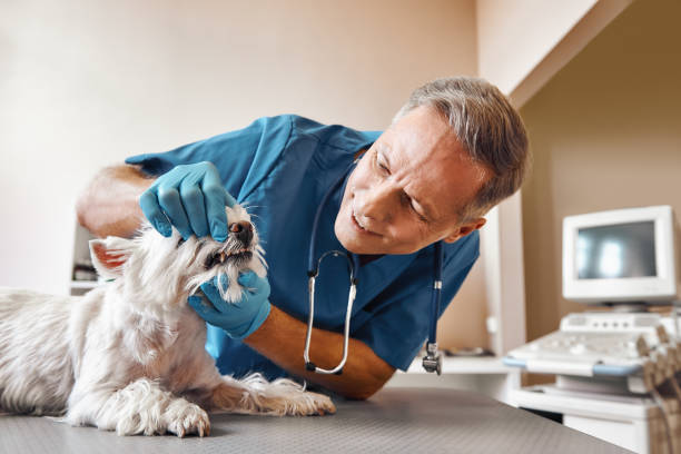 Best Emergency Dentist for Knocked-Out Tooth in Sandersville, GA