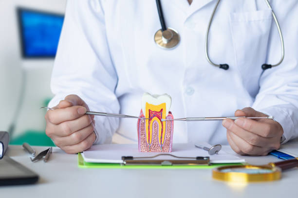 Best Mobile Emergency Dentist in Sandersville, GA
